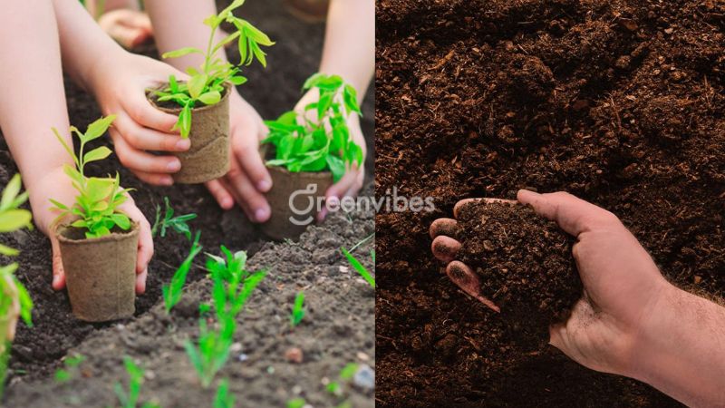 quy-trinh-lam-dat-de-trong-cay-tren-ban-cong-2 Ủ đất với rơm rạ