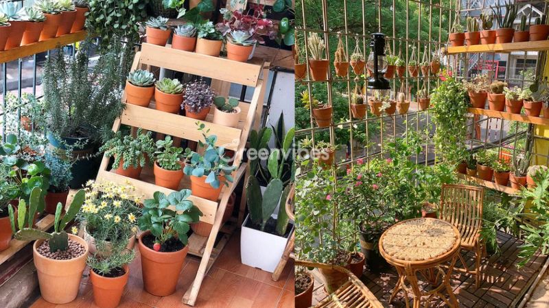 quy-trinh-lam-dat-de-trong-cay-tren-ban-cong-3 Quy trình làm đất để trồng cây trên ban công - Lựa chọn giống cây phù hợp