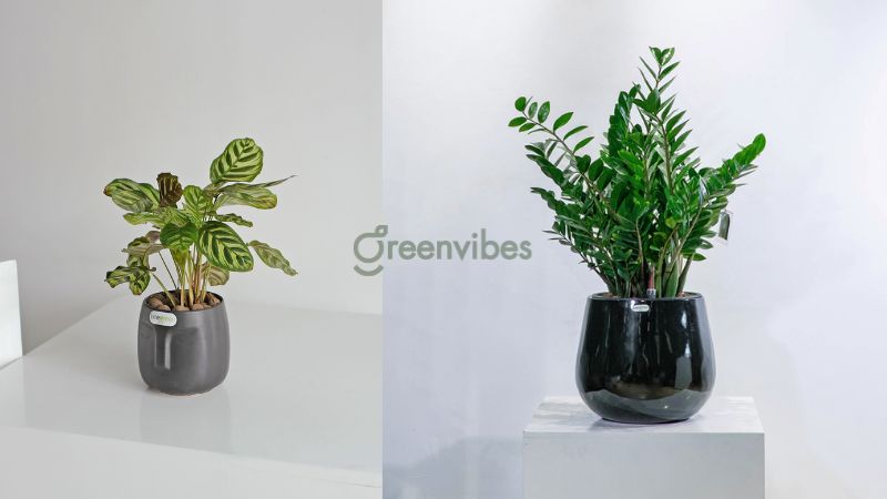 quy-trinh-lam-dat-de-trong-cay-tren-ban-cong-4 Chọn chậu cảnh thích hợp