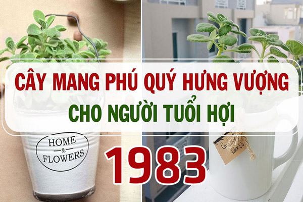 người tuổi quý hợi rất thông minh và hiền lành