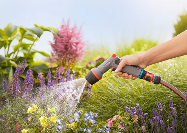 Tưới cây khi cần thiết để tiết kiệm nước