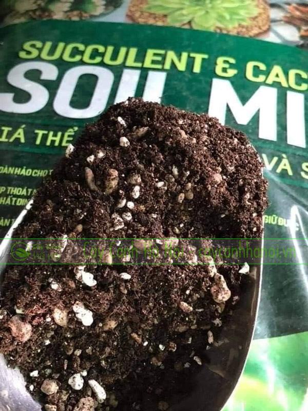 Thành phần của giá thể trộn sẳn Soil Mix