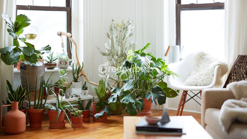 thiet-ke-cay-xanh-trong-nha-04 Lưu ý khi thiết kế cây xanh trong nhà