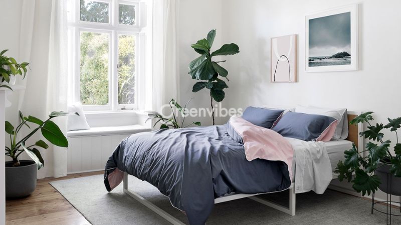 thiet-ke-cay-xanh-trong-nha-2 Top 10 loại cây nên trồng trong nhà