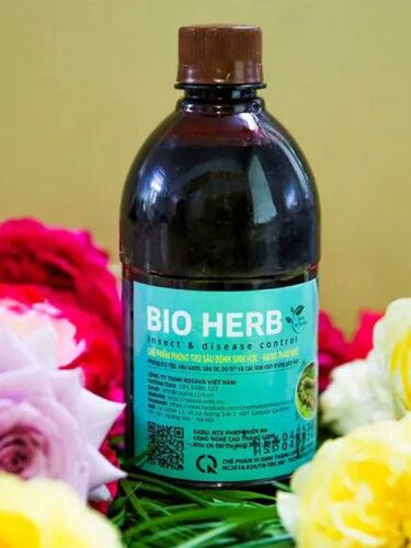 Thuốc trị đốm lá Bio Herb