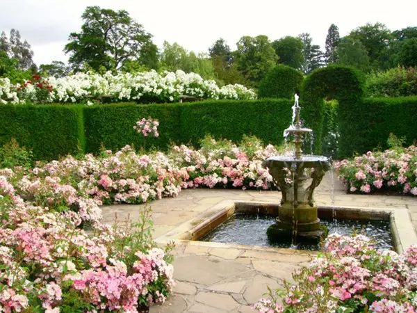 tie1bb83u-ce1baa3nh-sc3a2n-vc6b0e1bb9dn-chc3a2u-c3a2u Tiểu cảnh sân vườn Châu Âu