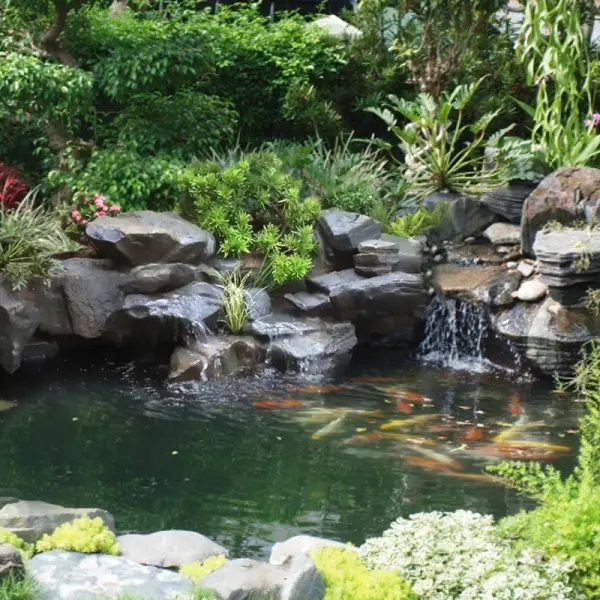 tie1bb83u-ce1baa3nh-sc3a2n-vc6b0e1bb9dn-he1bb93-nc6b0e1bb9bc Tiểu cảnh sân vườn hồ nước