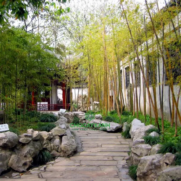 tie1bb83u-ce1baa3nh-sc3a2n-vc6b0e1bb9dn-trung-que1bb91c Tiểu cảnh sân vườn Trung Quốc