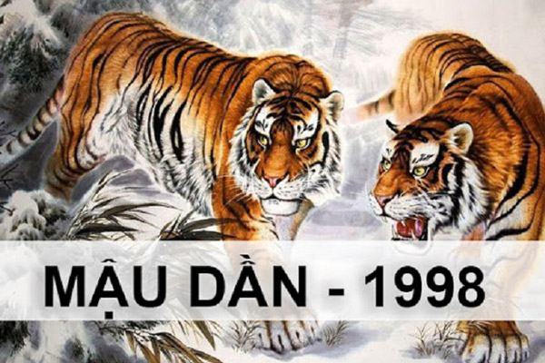 Tổng quan về tuổi mậu dần 1998