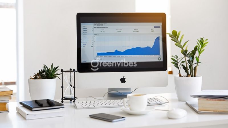 Top 10+ cây để bàn làm việc hợp mệnh Thủy chiêu tài, cầu lộc