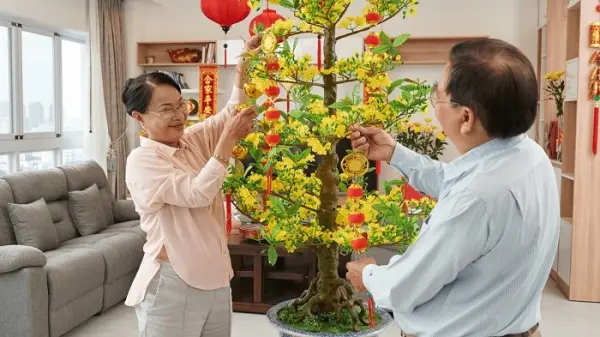 Trang trí cây mai trong nhà