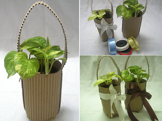 trang trí cây cảnh làm quà tặng trang-tri-cay-canh-lam-qua-tang3.jpg