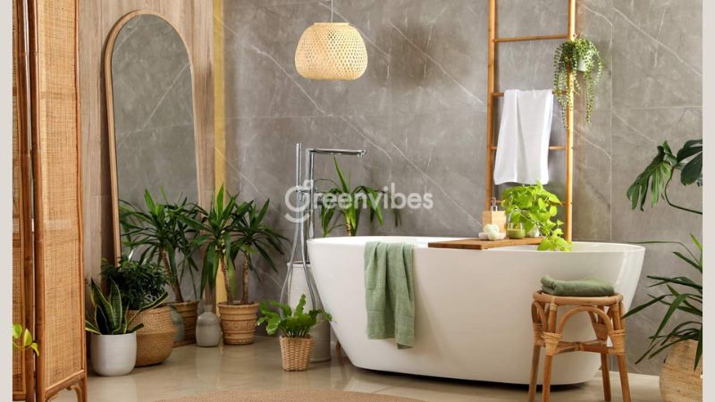 Cây cảnh nên trồng trong phòng tắm 