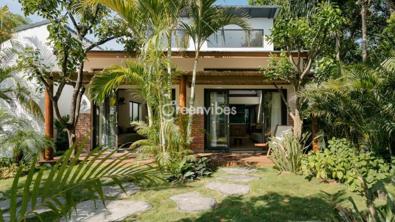 trong-cay-gi-truoc-nha-de-tranh-xui-xeo-2 Trồng cây trước nhà tốt cho phong thủy