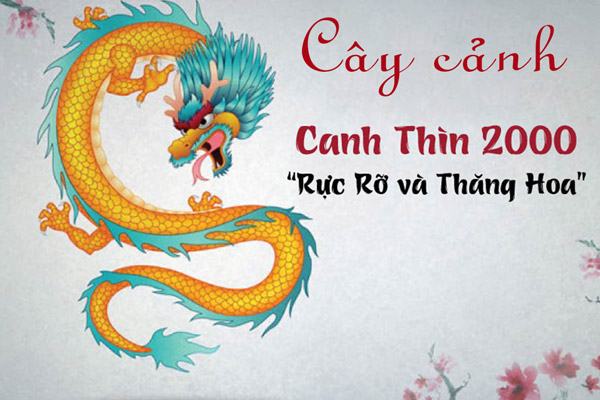 Các loại cây cảnh giúp tuổi canh thin có sự nghiệp rực rỡ và thăng hoa