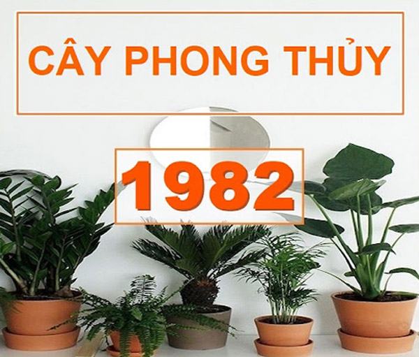 Chọn cây cảnh phù hợp với nữ tuổi nhâm tuất