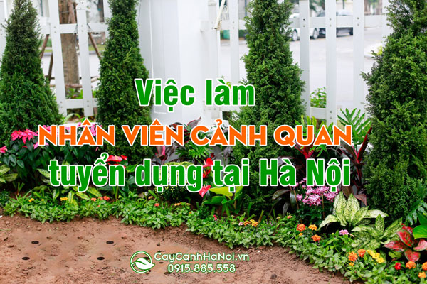 Tuyển Dụng Nhân viên cảnh quan (Tuyển Dụng Thợ cảnh quan, Tuyển Dụng Người cảnh quan)