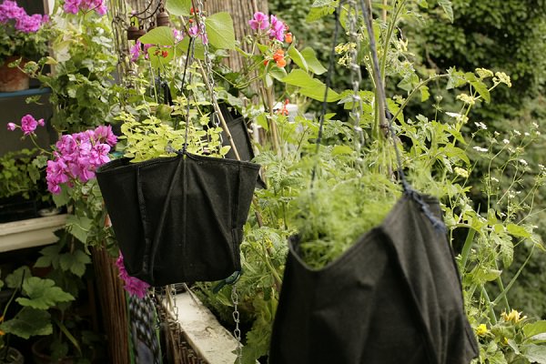 vuon-dung-ban-cong-02