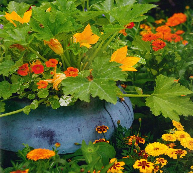 y-tuong-lam-dep-cho-khu-vuon-06