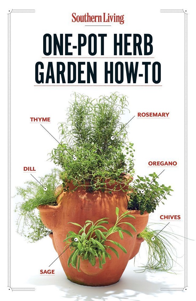 y-tuong-lam-dep-cho-khu-vuon-15