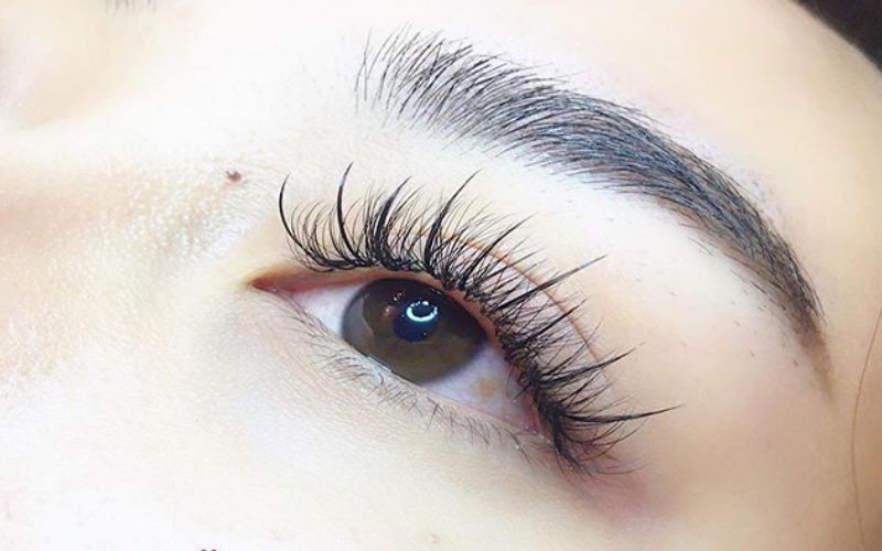 Lông mi kiểu chồn phù hợp cho nhiều dáng mắt
