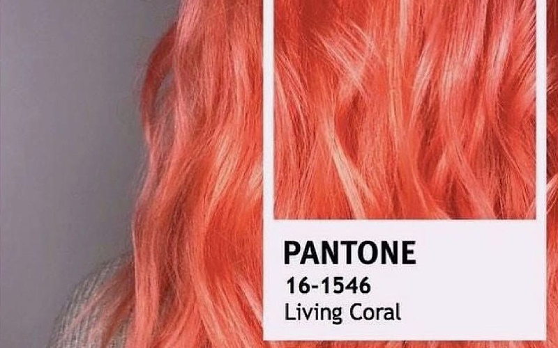 Màu cam san hô hiện đang là màu tóc trendy trên thị trường