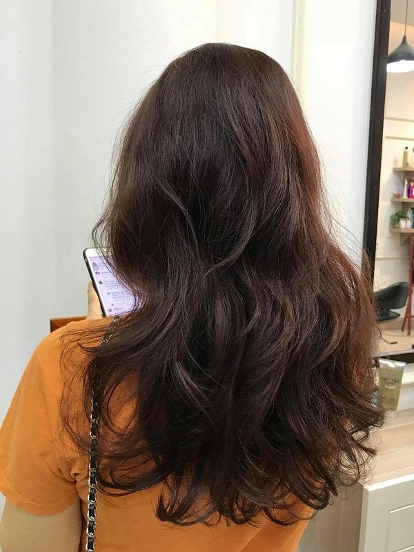 Có nhiều tone nâu đen khác nhau