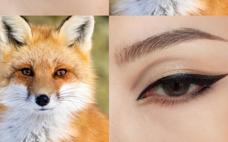 Dáng mắt của bạn có gì đặc biệt và khác biệt? Đừng lo lắng, hãy xem hình ảnh này để tìm hiểu cách chọn được loại eyeliner phù hợp nhất cho dáng mắt của bạn.