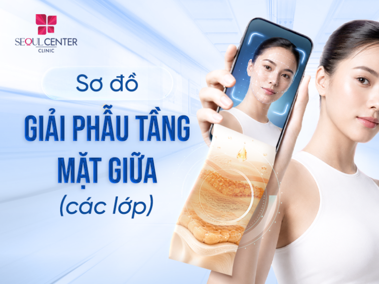 Sơ đồ giải phẫu tầng mặt giữa (các lớp)