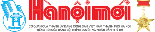 logo-3-500x103