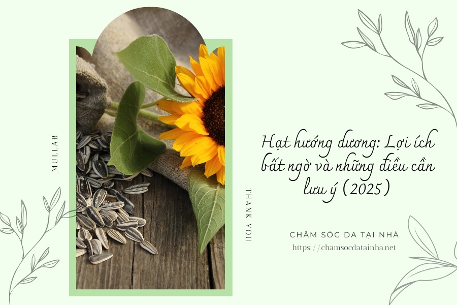 Hạt hướng dương Lợi ích bất ngờ và những điều cần lưu ý (2025)
