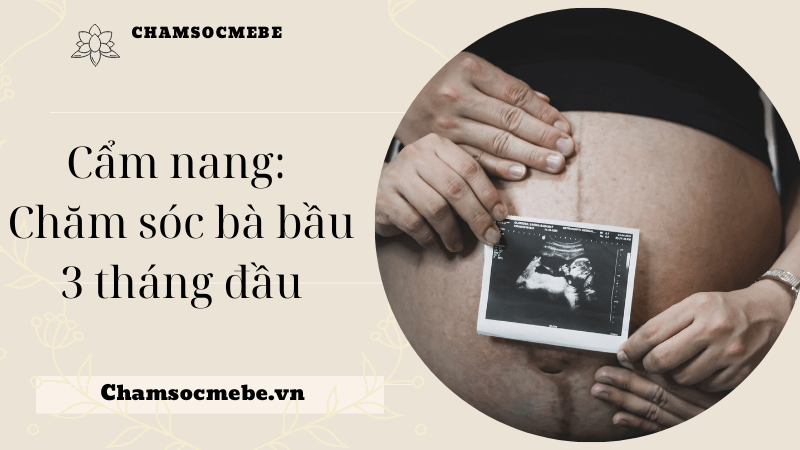 Sự phát triển của thai nhi trong 3 tháng đầu như thế nào?