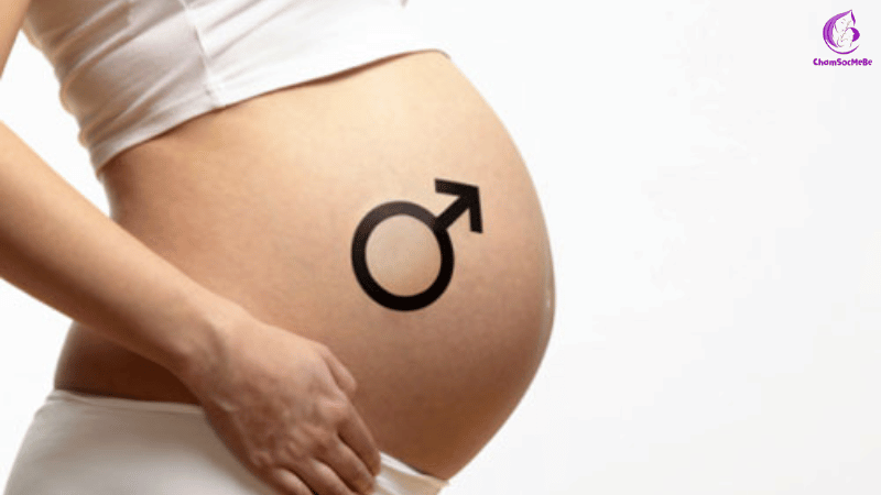 Dự đoán giới tính thai nhi qua đường Nigra