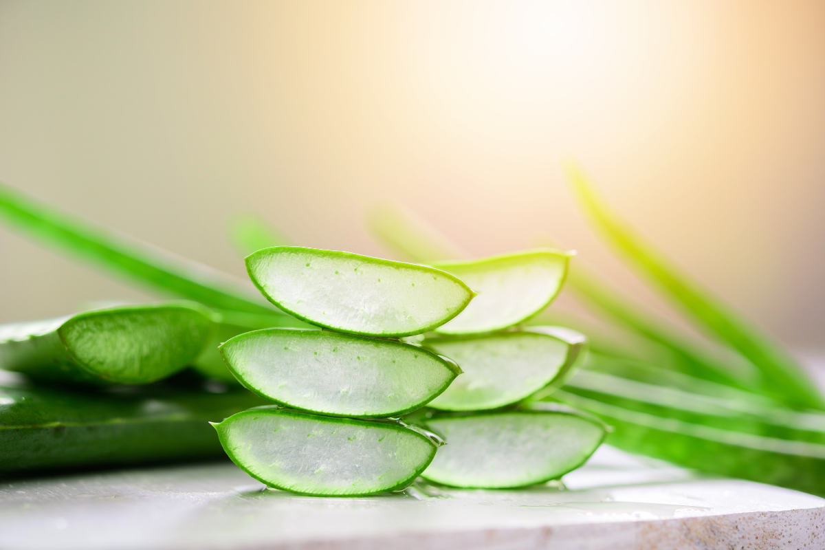 Nha đam là một loại cây tự nhiên có tính kháng khuẩn và giảm viêm, thường được sử dụng để điều trị mụn và vết thâm.