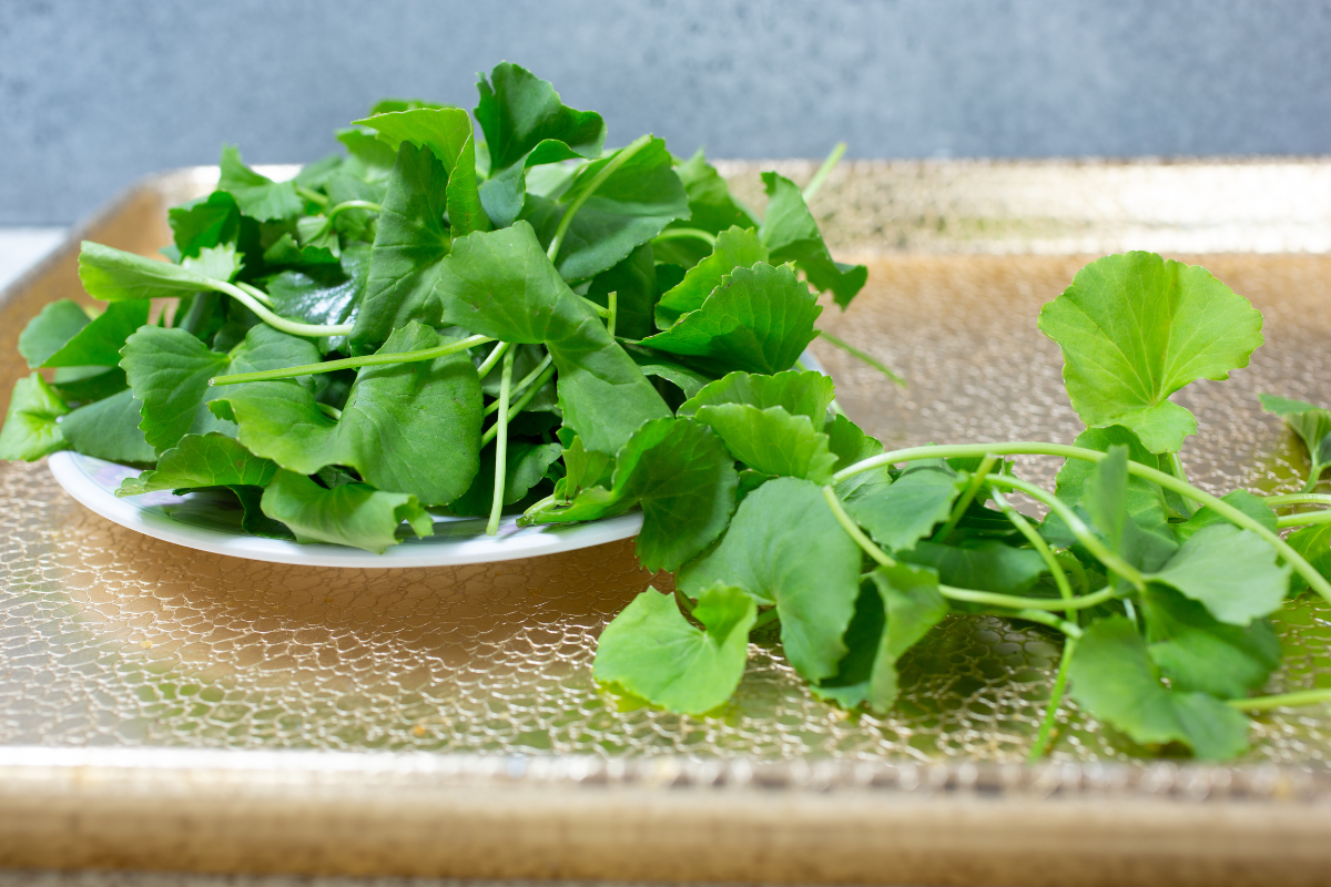 Rau má chứa nhiều chất chống oxy hóa và có khả năng kích thích tái tạo da, làm mờ vết thâm mụn.