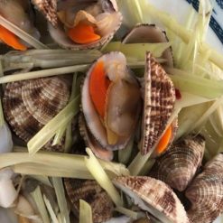 sosan1 800 × 800 px 1