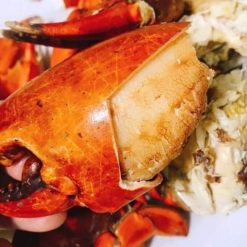 Thiet ke chua co ten 3