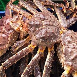 Thiet ke chua co ten 2