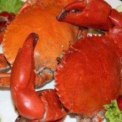 Thiet ke chua co ten 2 1 1