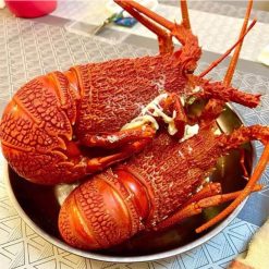 Tom Hum Nam Uc 2 1 1