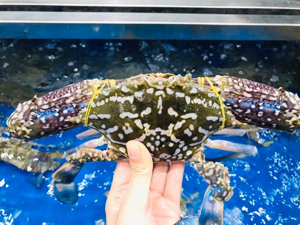 0fce45c819c6e798bed7 2b154343b4a74f428def7f44c43edfc3 grande