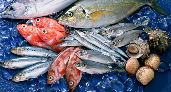 Nên ăn cá 2 - 3 lần một tuần: Còn mỗi ngày thì sao?