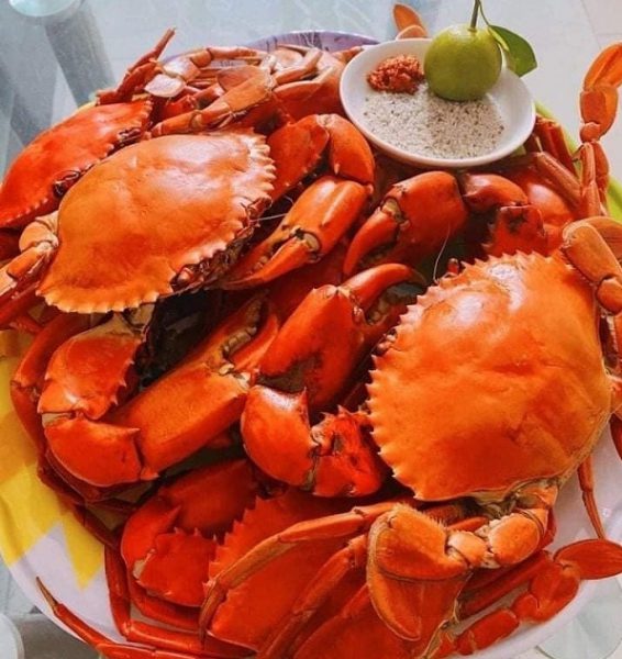 chuye n ca c loa i cua bie n ha i sa n do ng la nh tu o i ngon ta i nam di nh go i 0984873561 70721