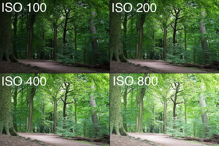 Độ nhạy sáng máy ảnh (ISO) chụp ảnh cơ bản