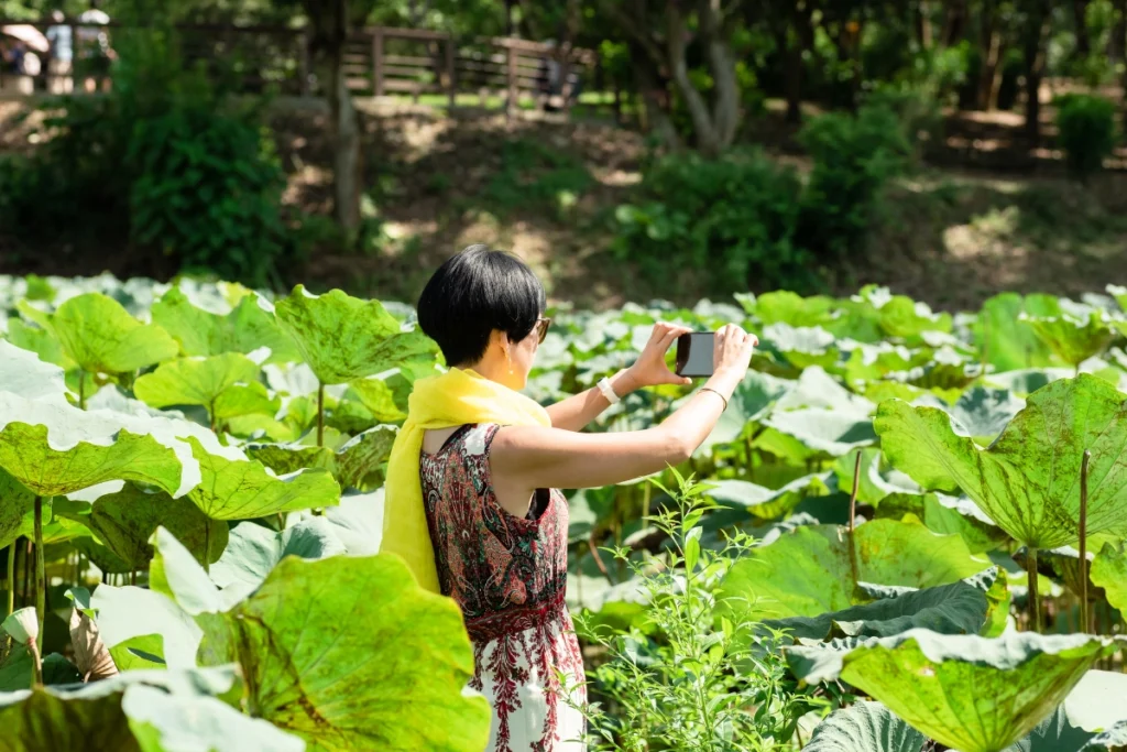 9 cách để cải thiện khả năng chụp ảnh phong cảnh nông thôn
