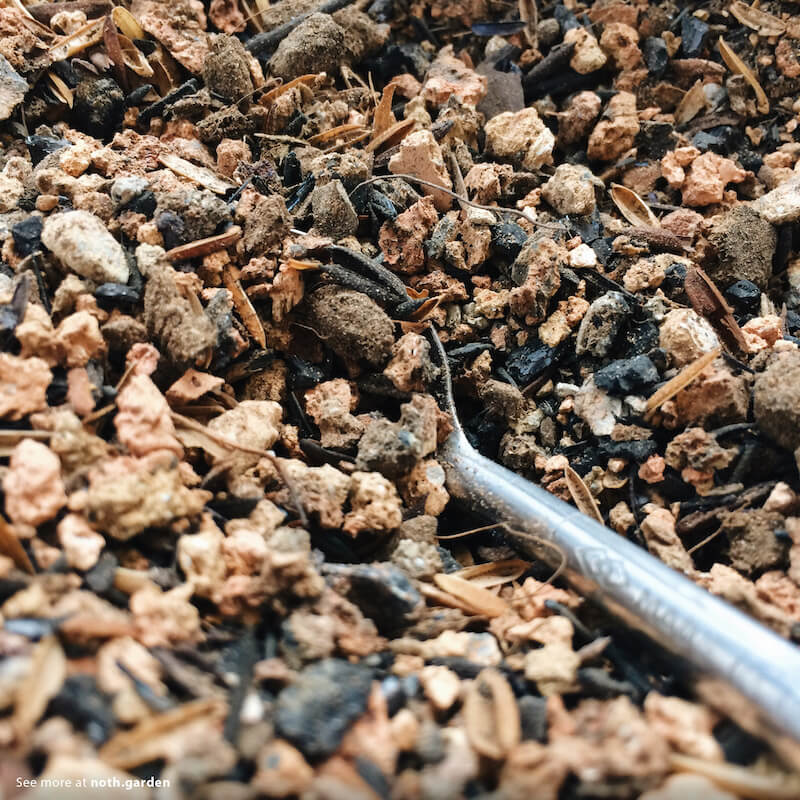 Chia sẻ trải nghiệm: Cách trộn hỗn hợp đất trồng Sen đá, Xương rồng và các loại cây mọng nước