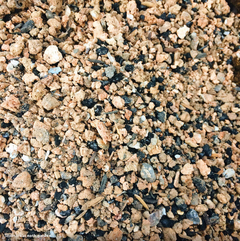 Chia sẻ trải nghiệm: Cách trộn hỗn hợp đất trồng Sen đá, Xương rồng và các loại cây mọng nước