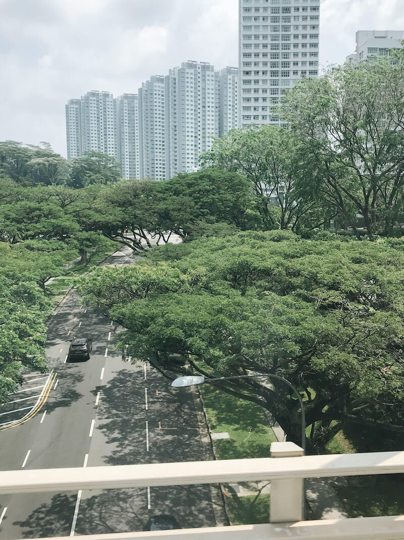 Trải nghiệm: Singapore – Thành phố trong công viên (Bích Ngọc)