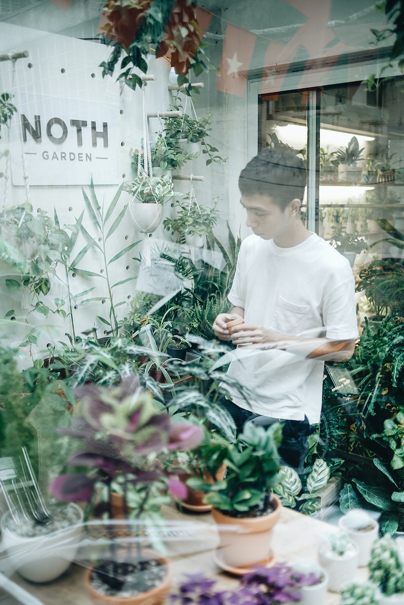 Chùm ảnh đẹp Shop cây Indoor: Vườn NOTH qua góc máy của Nam Beat
