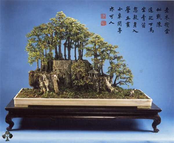 5 - Cây thế Trung Quốc, một tác phẩm Bồn Cảnh (Penjing) của Yee-sun Wu